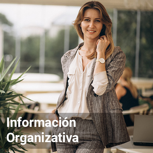 informacionorganizativa